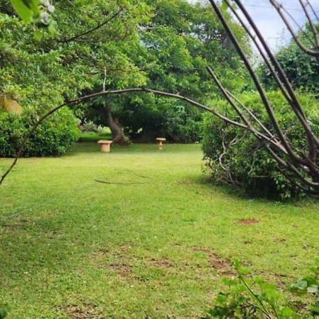 Lovely 3 Bed In Mount Pleasant - 2153 Harare Eksteriør billede
